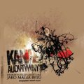 Kana Audytywny - Neurofotoreceptoreplotyka jako magia bytu